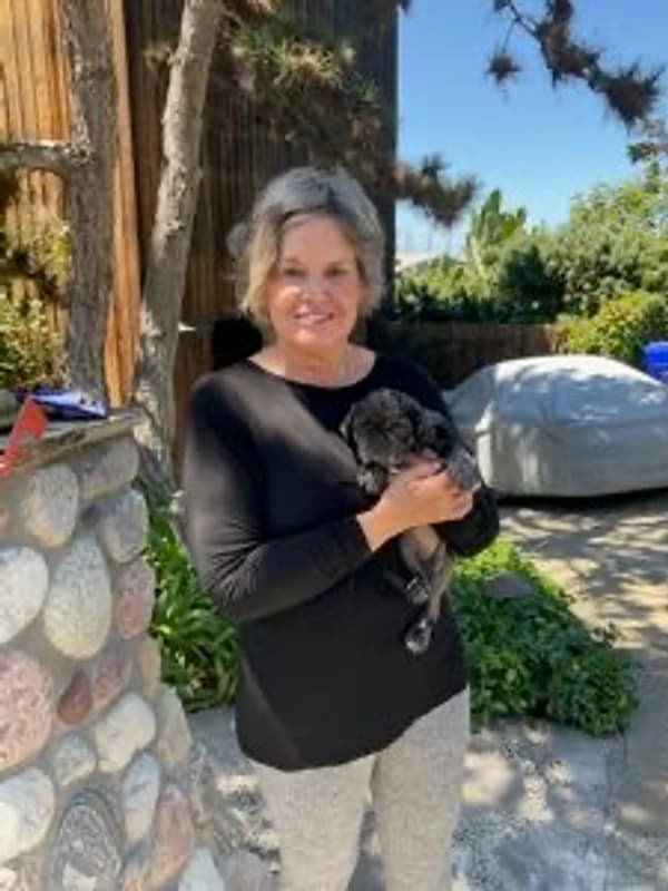 Customer photo of Pug puppy from Linda A.