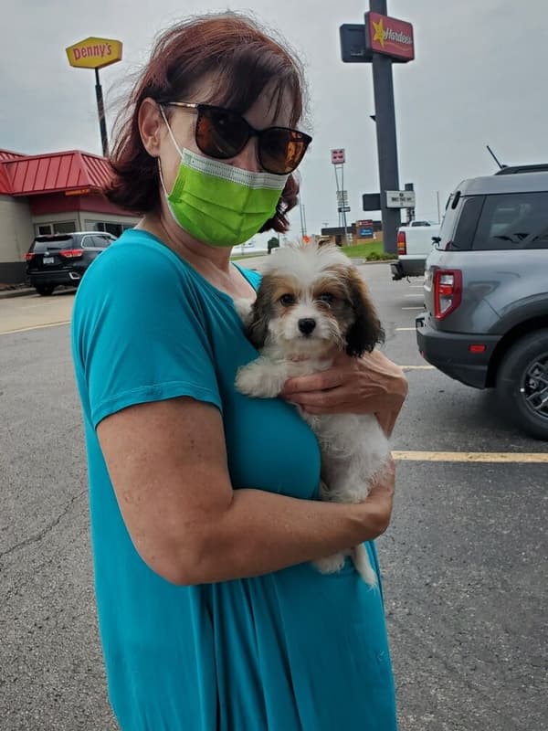 Customer photo of Cavachon puppy from Barbara W.