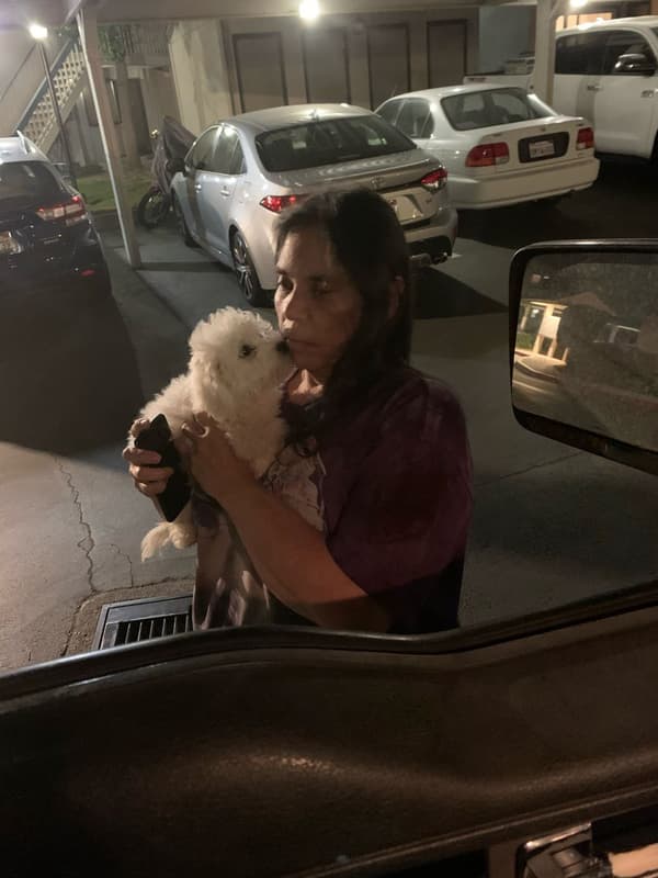 Customer photo of Bichon Frise puppy from Valarie M.