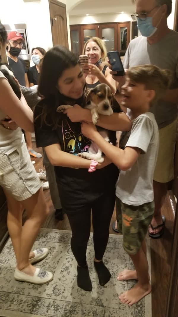 Customer photo of Beagle puppy from Karina B.