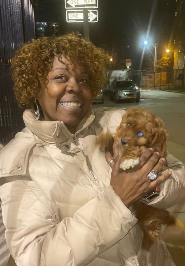 Customer photo of Cavapoo puppy from Adele P.