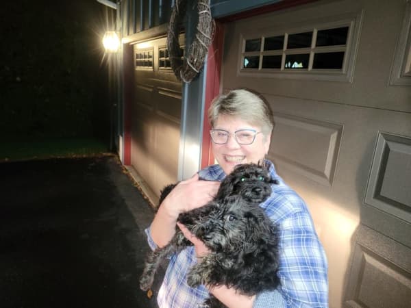 Customer photo of Schnoodle puppy from Abigail V.