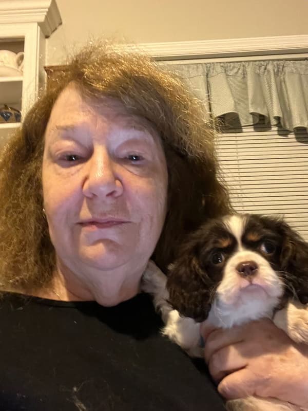 Customer photo of Cavalier King Charles Spaniel puppy from Deborah T.