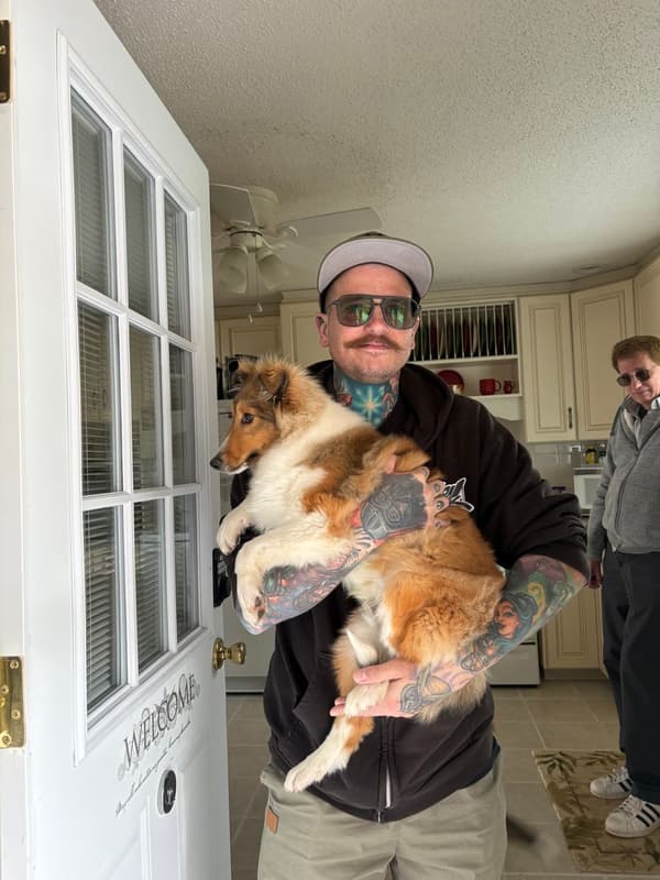 Customer photo of Shetland Sheepdog - Sheltie puppy from Michael L.