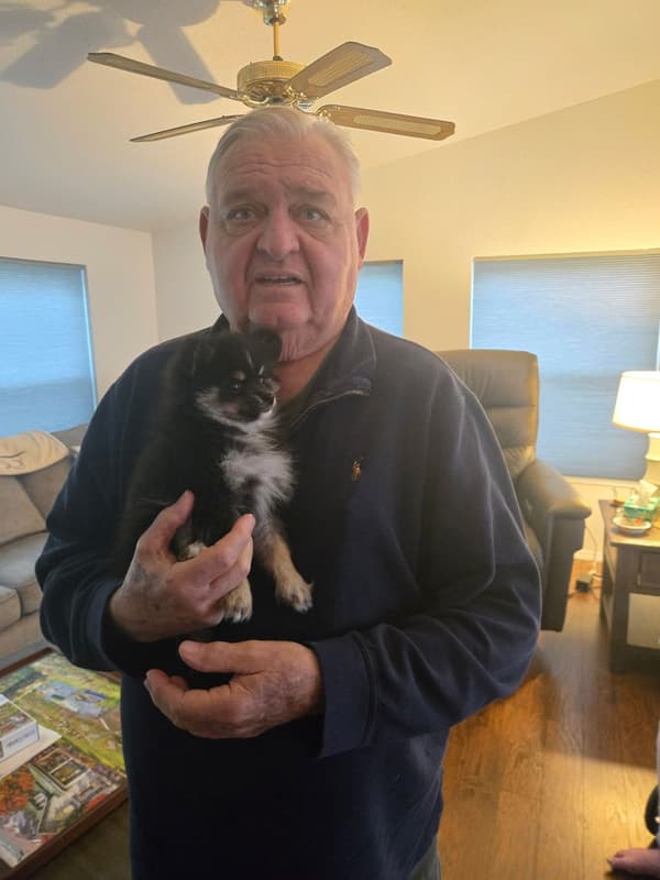 Customer photo of Pomeranian puppy from Bruce R.