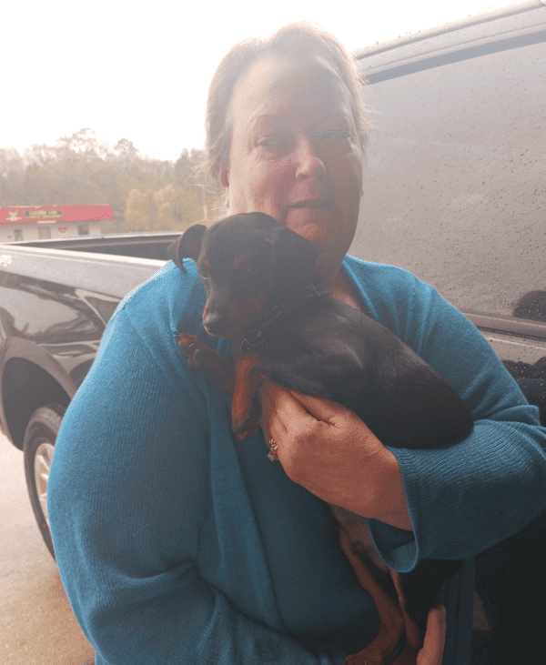 Customer photo of Miniature Pinscher puppy from Diana Y.