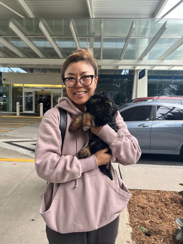Customer photo of Shih Tzu puppy from Angie L.