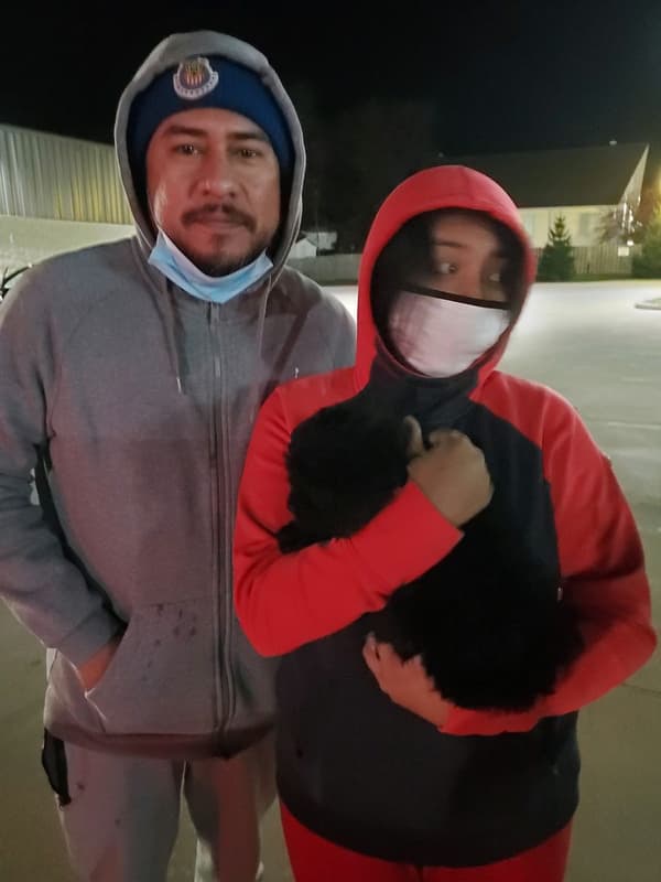 Customer photo of Aussiedoodle puppy from Alexander G.