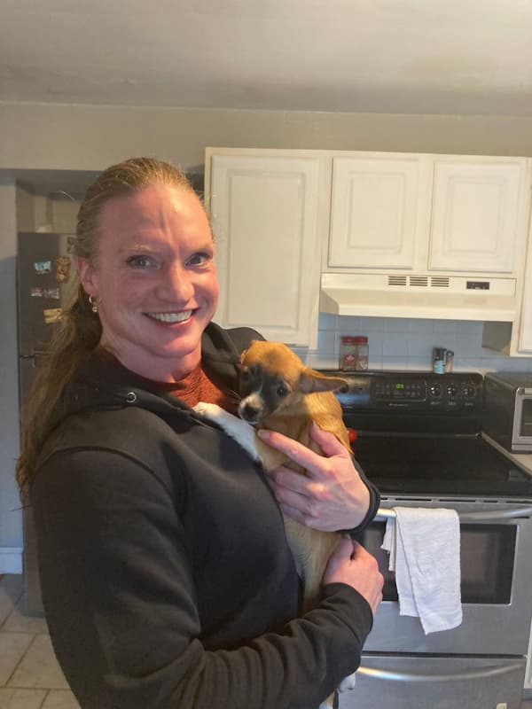 Customer photo of Chihuahua puppy from Hayley F.