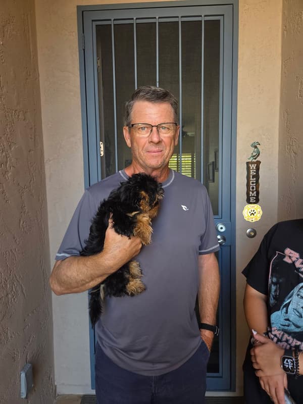 Customer photo of Yorkiepoo - Yorkie Poo puppy from Marty B.