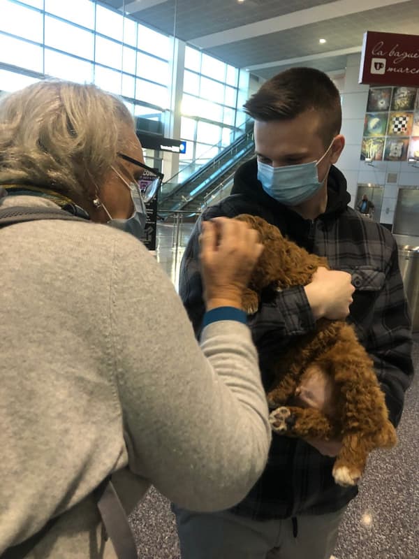 Customer photo of Labradoodle puppy from Elizabeth W.