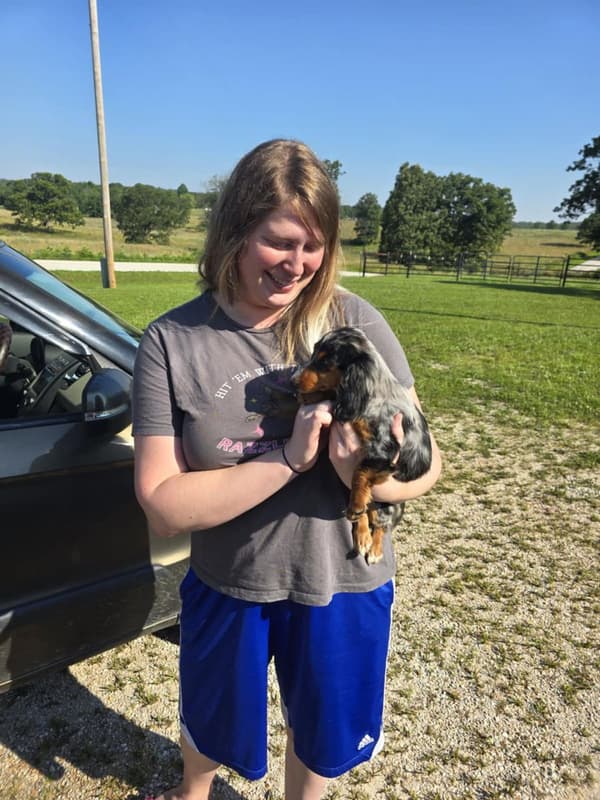 Customer photo of Dachshund, Mini puppy from Heather F.