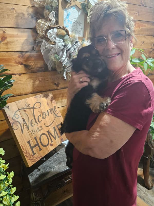 Customer photo of Cocker Spaniel puppy from Ellen B.