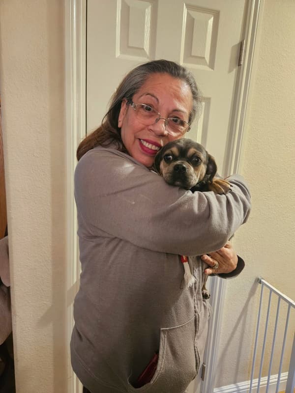 Customer photo of Puggle puppy from Yolanda M.