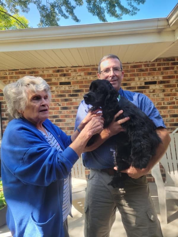 Customer photo of Cocker Spaniel puppy from Carol M.
