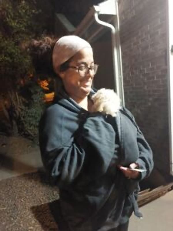 Customer photo of Bich-Poo - Bichpoo puppy from Nicole M.