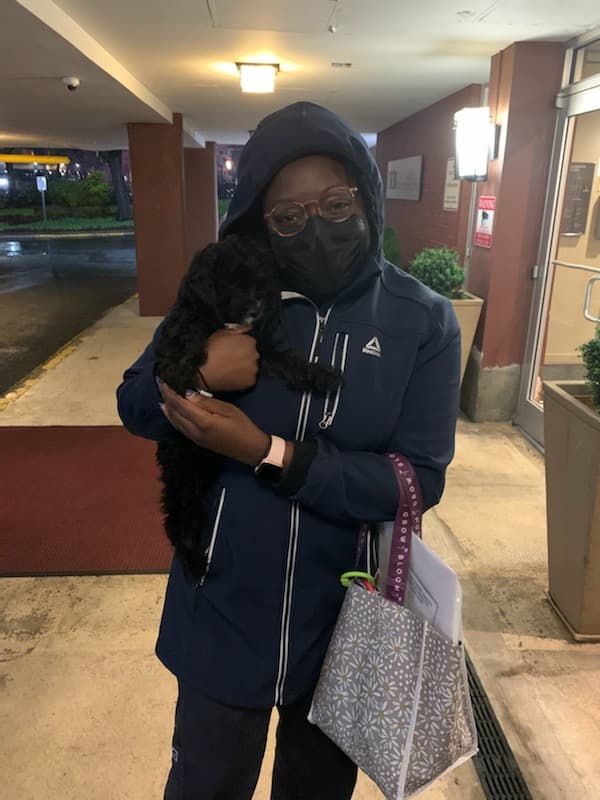 Customer photo of Cockapoo puppy from Tosin F.