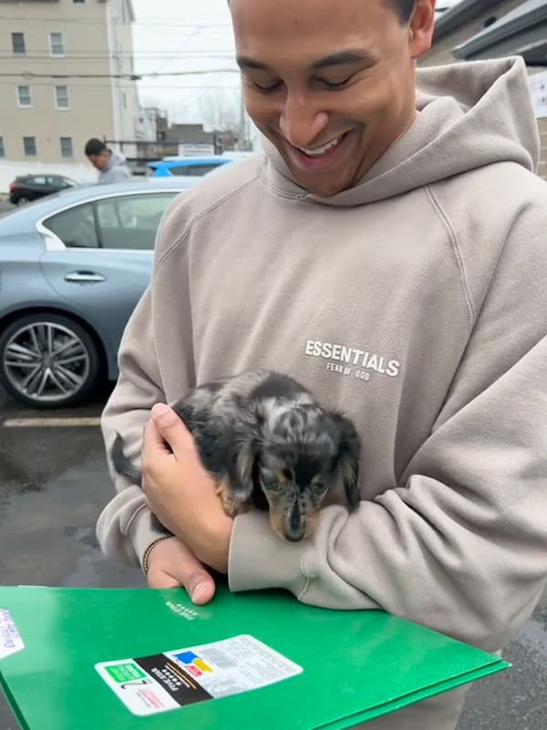 Customer photo of Dachshund, Mini puppy from Ben Z.