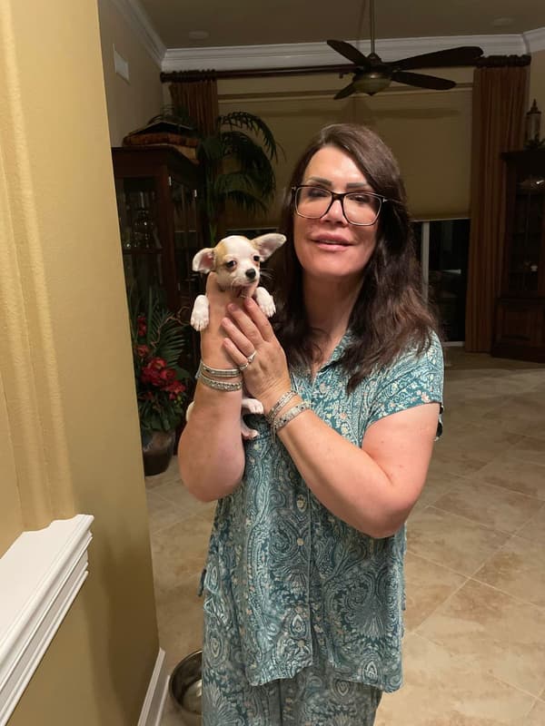 Customer photo of Chihuahua puppy from Rita G.