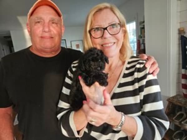 Customer photo of Yorkiepoo - Yorkie Poo puppy from David D.