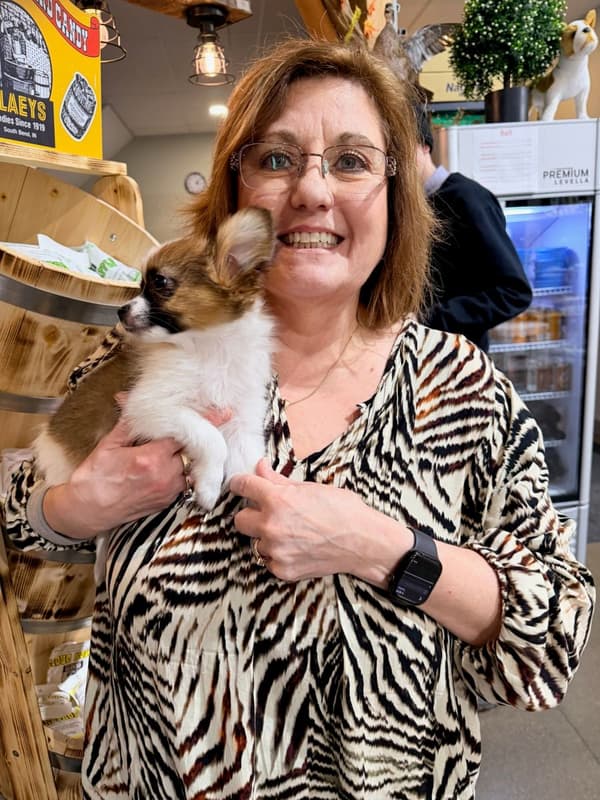 Customer photo of Papillon puppy from Beth K.