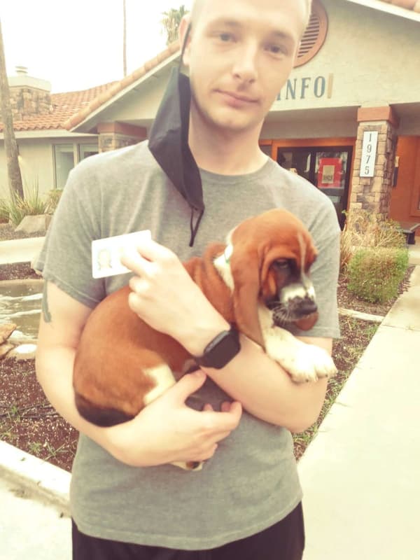 Customer photo of Basset Hound puppy from Kohl S.