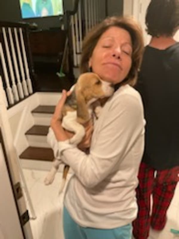 Customer photo of Beagle puppy from Elizabeth H.