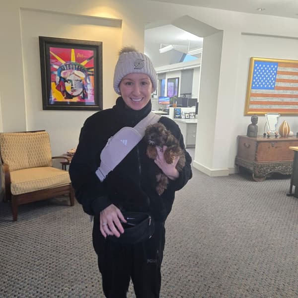 Customer photo of Shorkie puppy from Megan O.