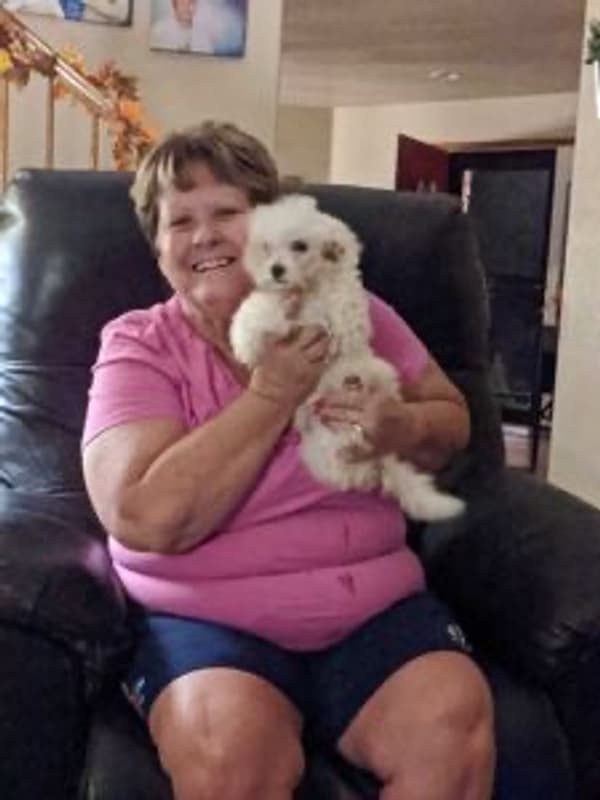 Customer photo of Bichon Frise puppy from Robin T.