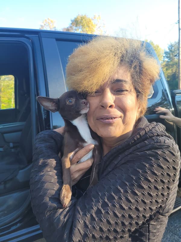 Customer photo of Chihuahua puppy from Evelyn K.