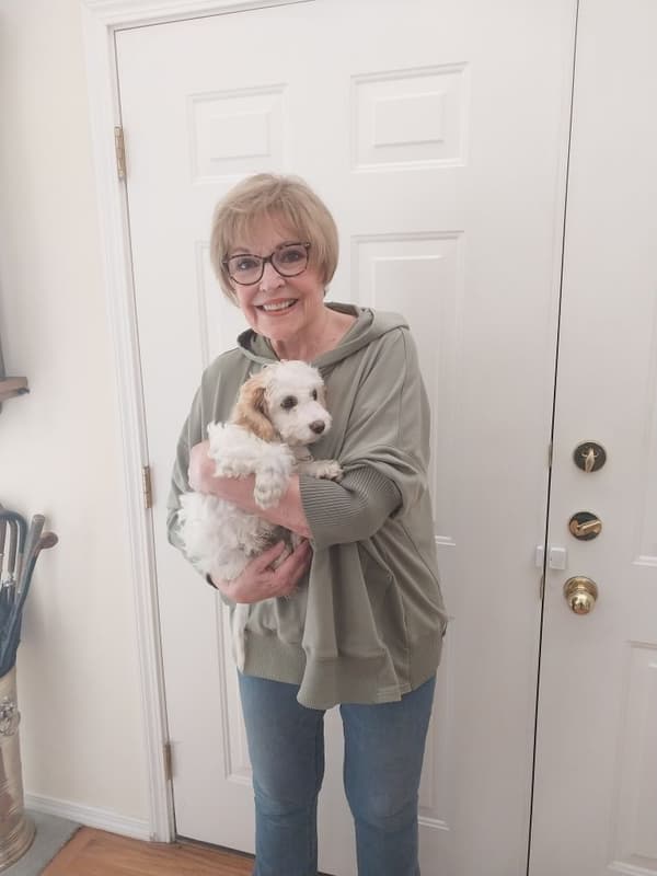 Customer photo of Cavachon puppy from Linda D.