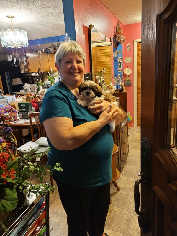 Customer photo of Shih Apso puppy from Michelle S.