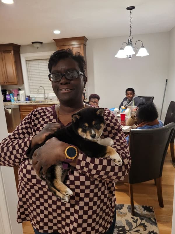 Customer photo of Shiba Inu puppy from Shamika H.