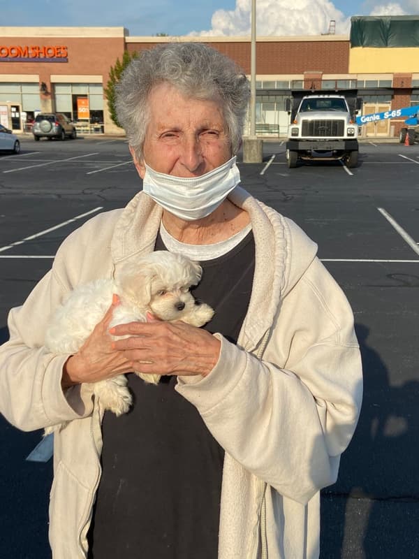 Customer photo of Maltese puppy from Meta L.