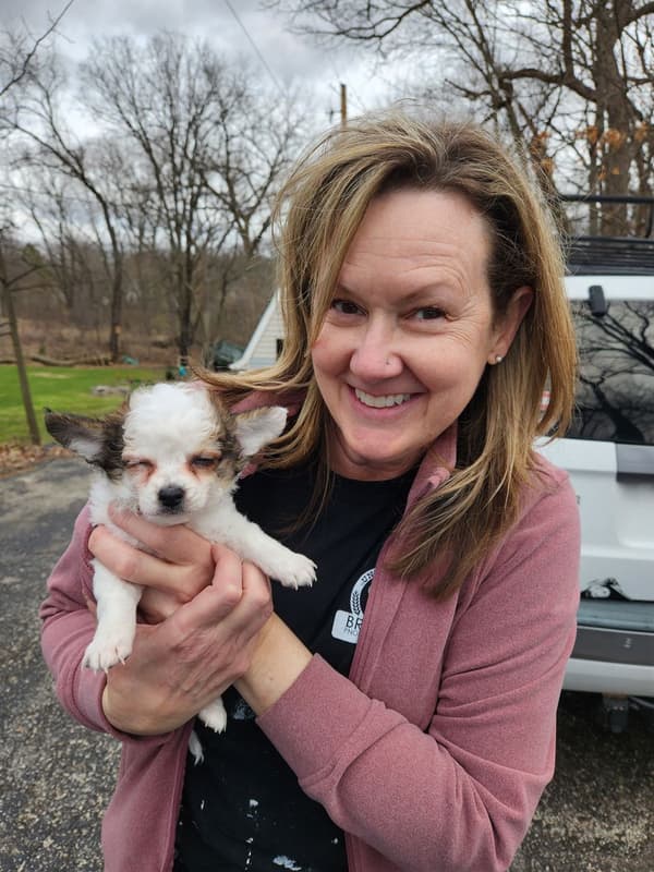 Customer photo of Chihuahua puppy from William R.