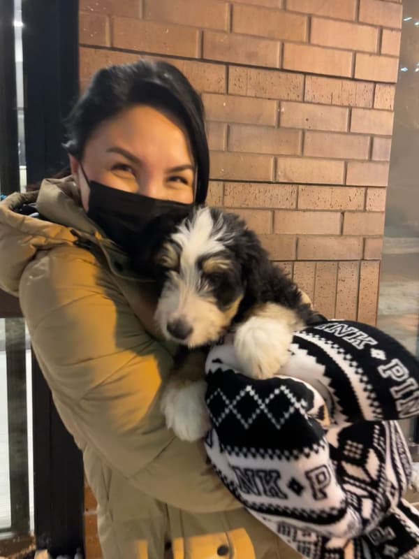 Customer photo of Bernedoodle puppy from Madina K.