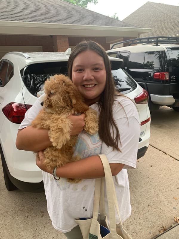 Customer photo of Cockapoo puppy from Sydney M.