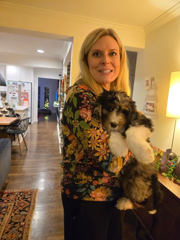 Customer photo of Bernedoodle puppy from Erica P.