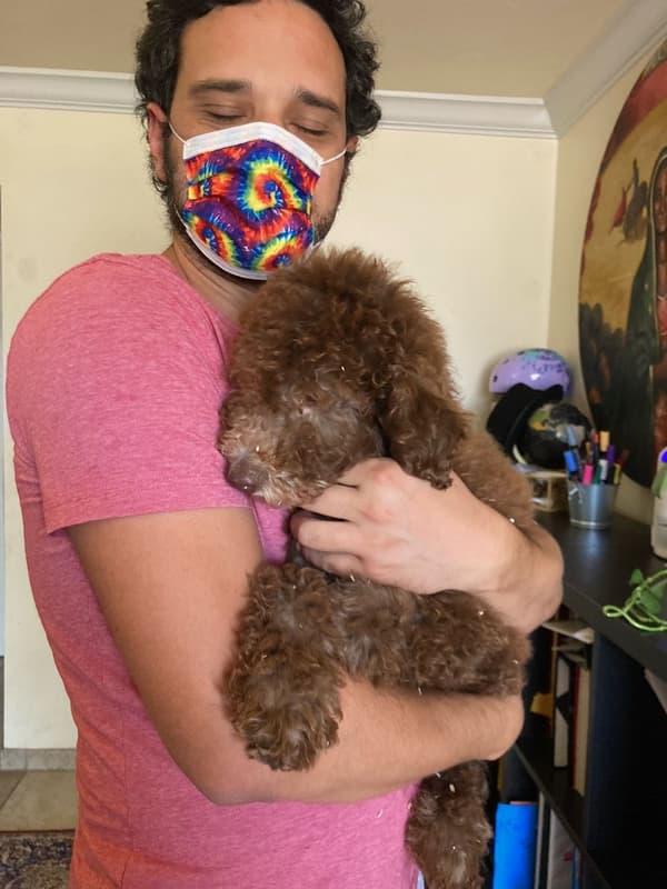 Customer photo of Poodle, Standard puppy from Mayo W.