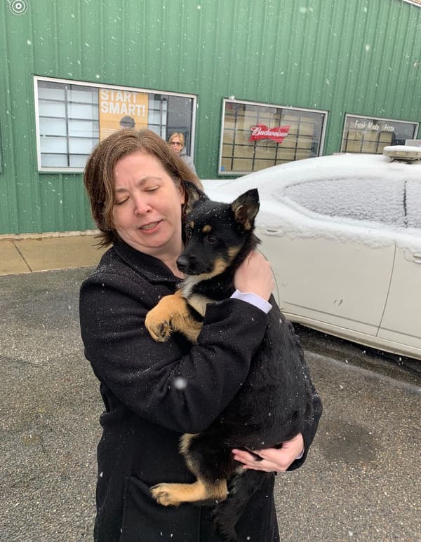 Customer photo of Mixed/Other puppy from Greg B.