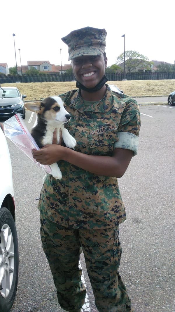 Customer photo of  puppy from Anina S.