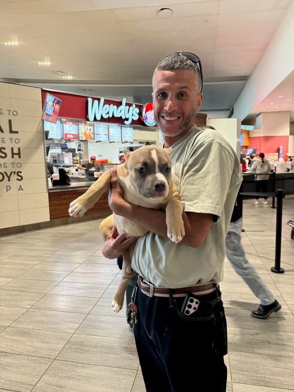 Customer photo of American Bully puppy from Daniel G.