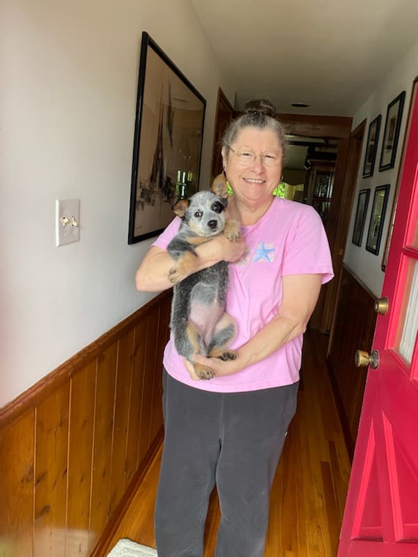 Customer photo of Australian Cattle Dog/Blue Heeler puppy from Karyn F.