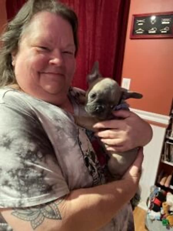 Customer photo of French Bulldog puppy from Pamela F.