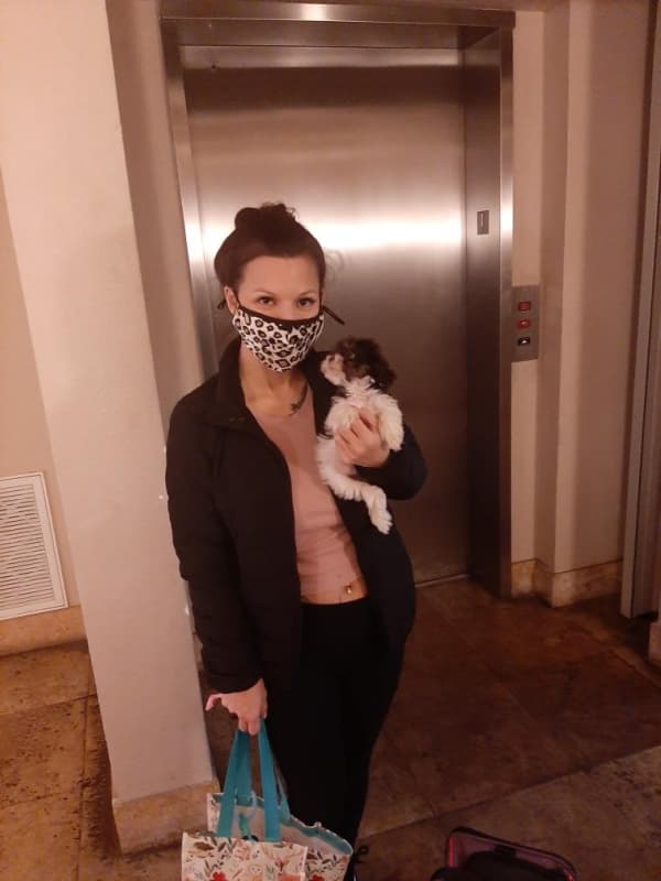 Customer photo of Havanese puppy from Laura S.