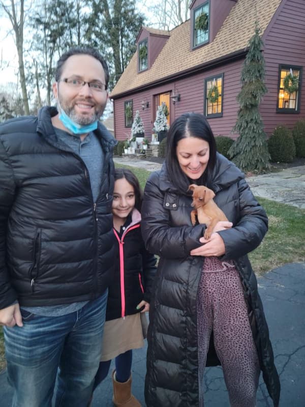 Customer photo of Miniature Pinscher puppy from Jason L.