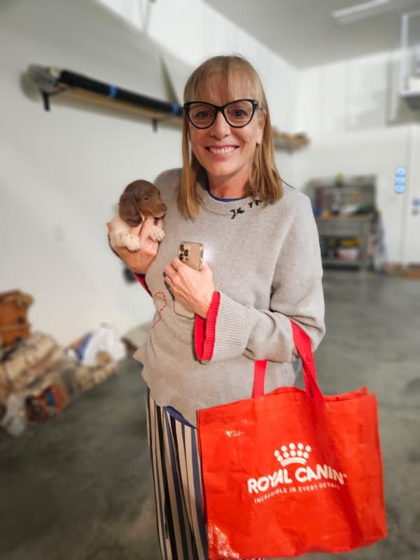 Customer photo of Dachshund, Mini puppy from Noel M.