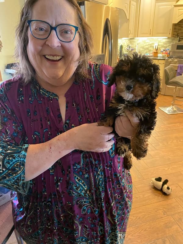 Customer photo of Cavapoo puppy from Peggy S.