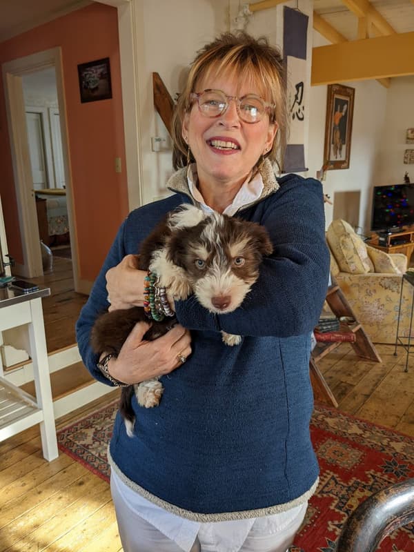 Customer photo of Havanese puppy from Gail & Bob M.