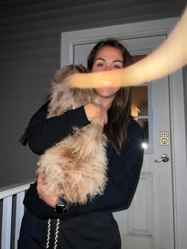 Customer photo of Aussiedoodle puppy from Stacey Pauze